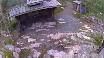 Фотографии Комплексы для отдыха с коттеджами/бунгало Midnight Sun Cottages Aavasaksa г. Aavasaksa (Финляндия) №5 Фото Комплексы для отдыха с коттеджами/бунгало Midnight Sun Cottages Aavasaksa г. Aavasaksa 5